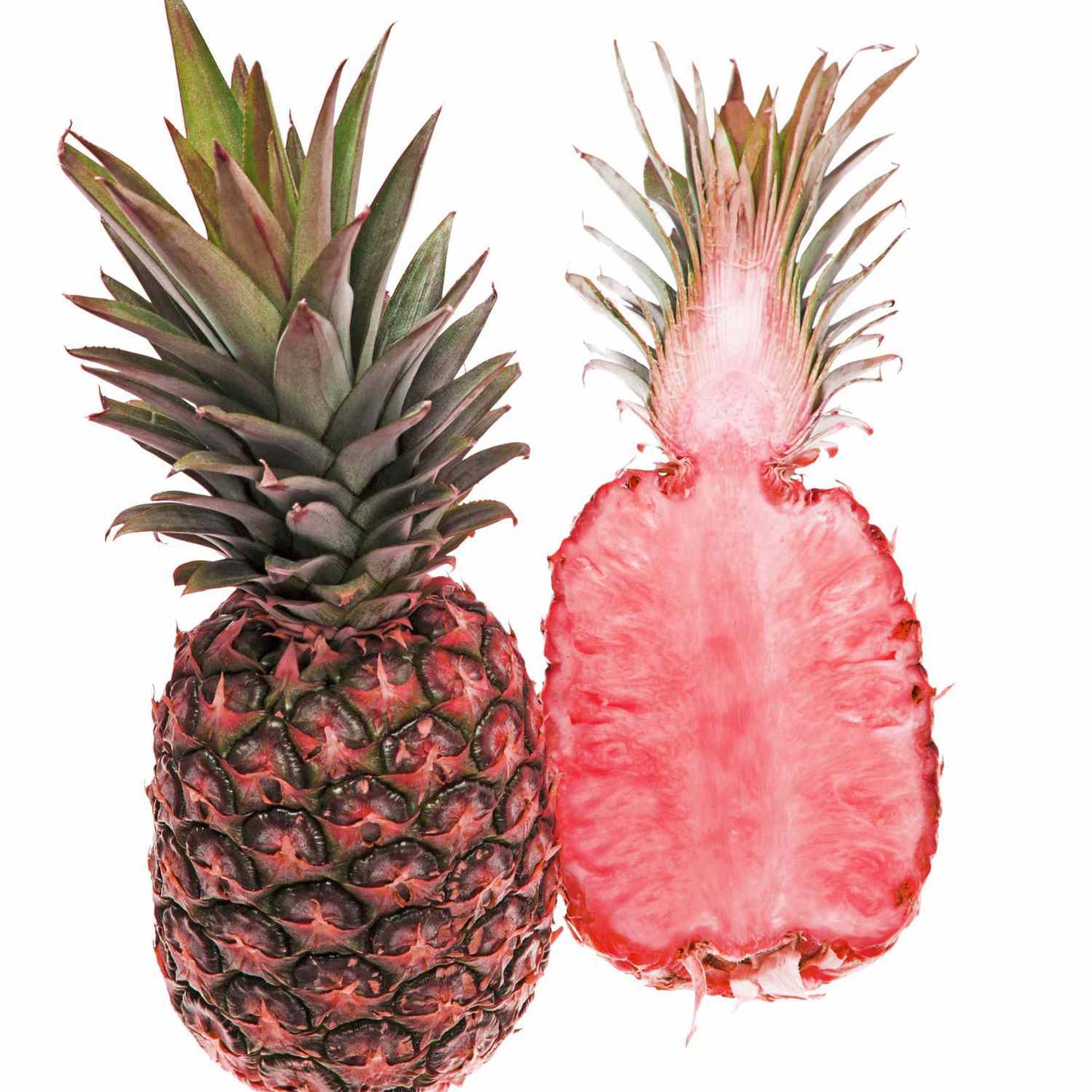 Pineapple Fandango